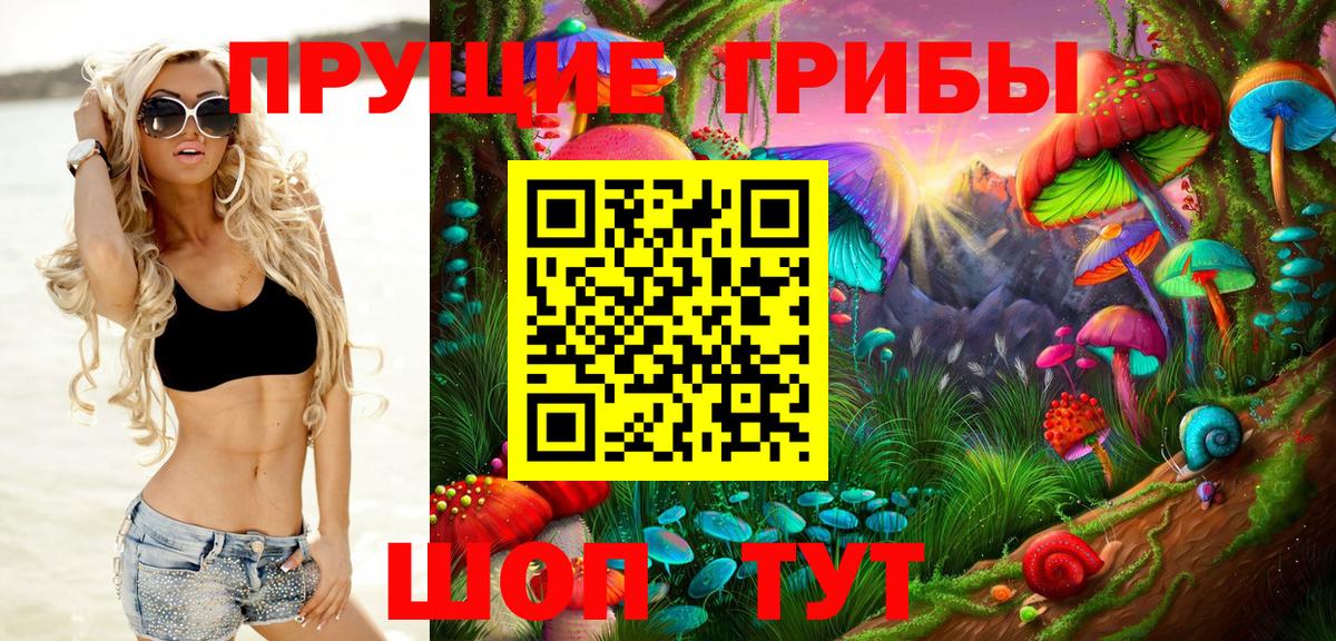 Галлюциногенные грибы прущие грибы Камышин