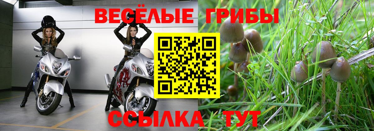 Псилоцибиновые грибы ЛСД  Вход с VPN  Камышин  Псилоцибиновые грибы прущие грибы 
